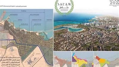 المخطط التفصيلي لعاصمة مصر الاقتصادية الجديدة 