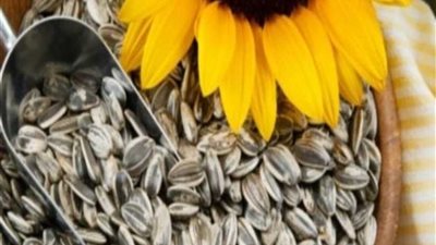 طبيب روسي ينسف معتقدا شائعا يتعلق بتناول 