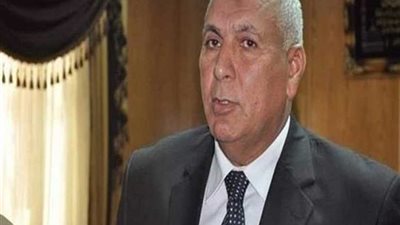 محافظ الوادي الجديد يوجه بحصرعائدات مشروع 