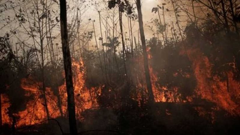 معجزة إلهية قد تنهي