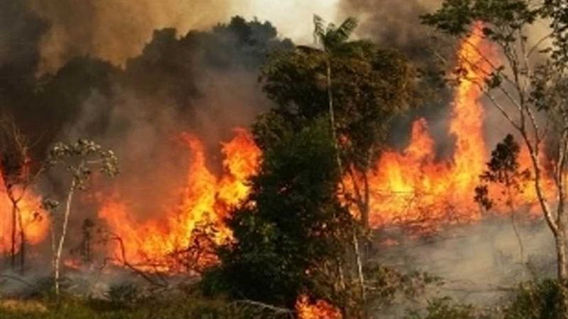 البرازيل: بدء نشر