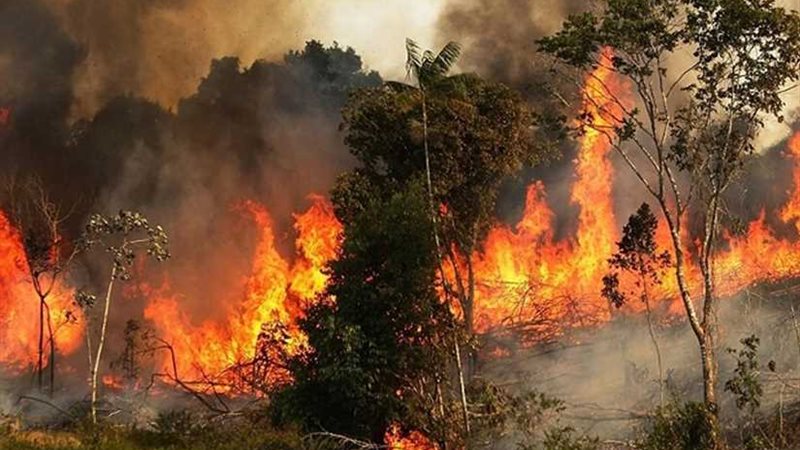 الجيش البرازيلي يدفع