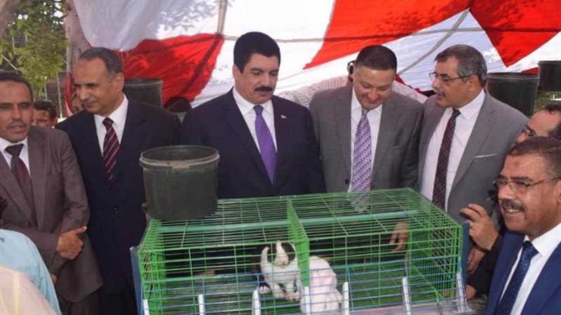 محافظ القليوبية: