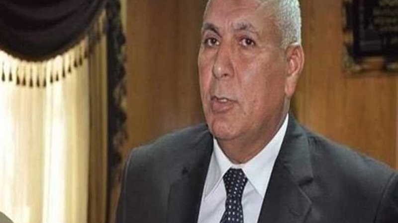 محافظ الوادي الجديد