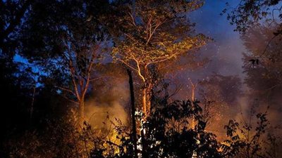 حرائق الأمازون.. البرازيل ترد على فرنسا بـ