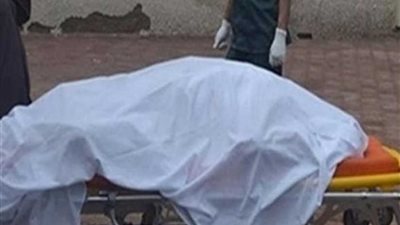 النيابة تبدأ التحقيق في مقتل سائق على يد جزار بملوي