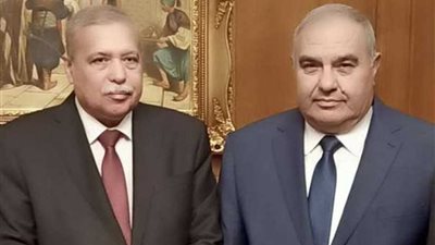 رئيس الدستورية العليا يهنئ رئيس قضايا الدولة بتوليه منصبه الجديد