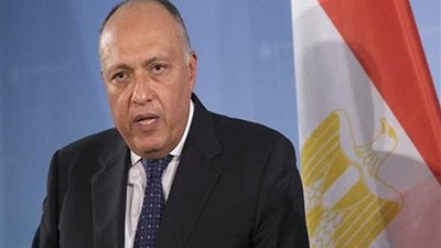 وزير الخارجية ونظيره الياباني يحضران لقمة الشراكة الإفريقية- اليابانية