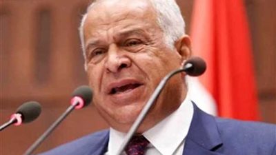 فرج عامر: محاور كلمة السيسي أمام قمة التيكاد تضمن وضع إفريقيا على خريطة العالم الاقتصادية