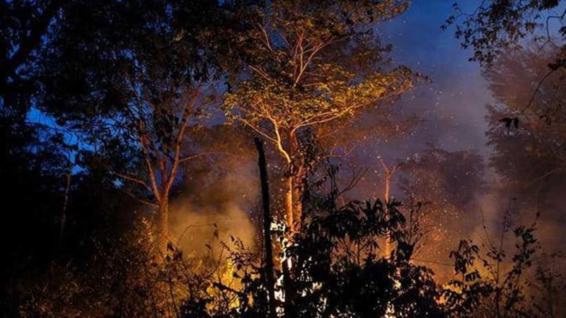 حرائق الأمازون..