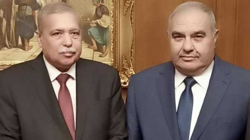 رئيس الدستورية العليا