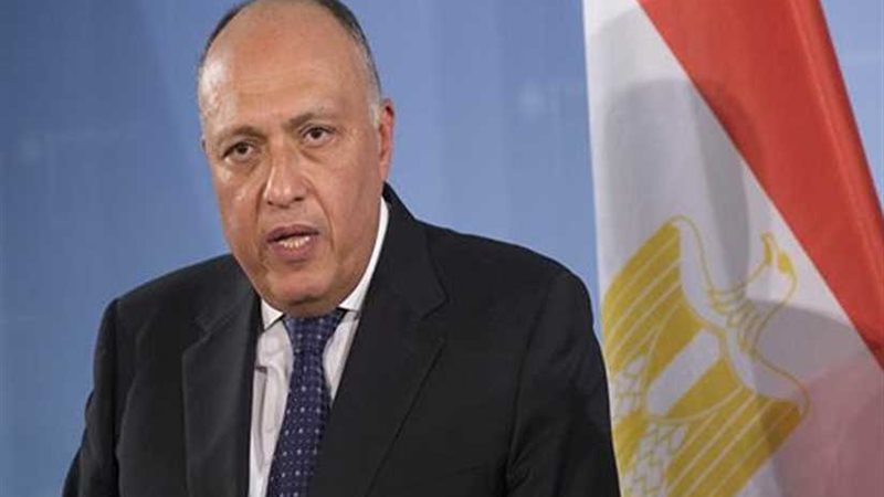 وزير الخارجية ونظيره