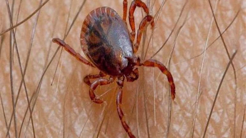 بعد مهاجمة قريتين