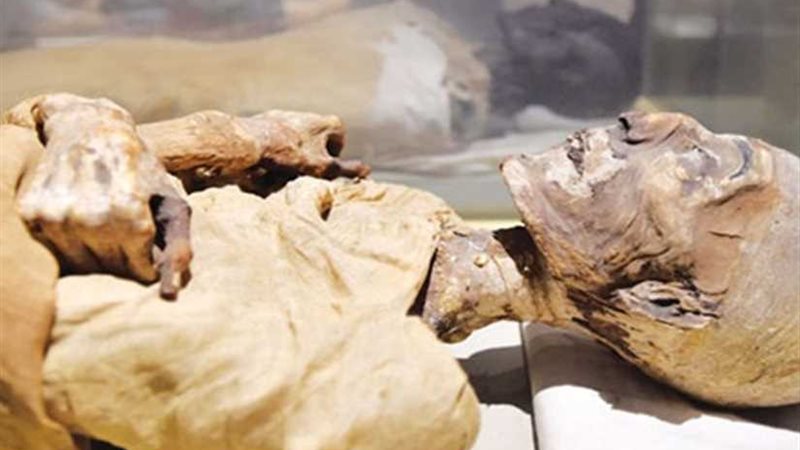 الآثار: نقل المومياوات