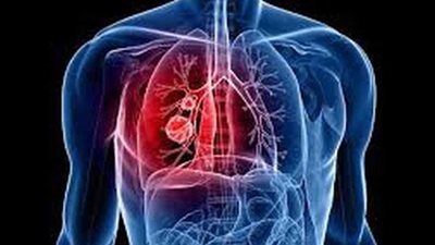 علماء: المواد الغذائية الغنية بـ