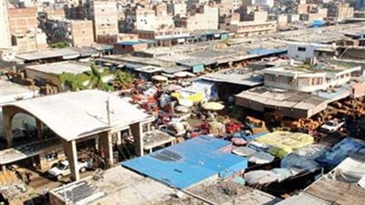 الإسكندرية تنفي ردم حوض الـ1000 فدان ببحيرة مريوط لنقل سوق 