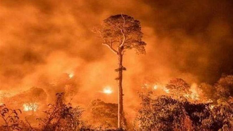 خبراء يحذرون .. حرائق