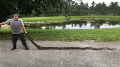 أمريكي يصطاد مفترس الحيوانات المحلية