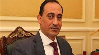 برلماني: حكومة 