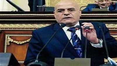 نائب: مبادرات الشباب لحل مشكلة النظافة إيجابية وفاعلة ونحتاج منظومة متكاملة