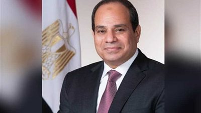 رسالة خطية الى الرئيس السيسى من رئيس نيكاراجوا يتسلمها شكرى