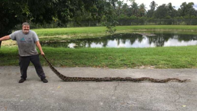 أمريكي يصطاد مفترس