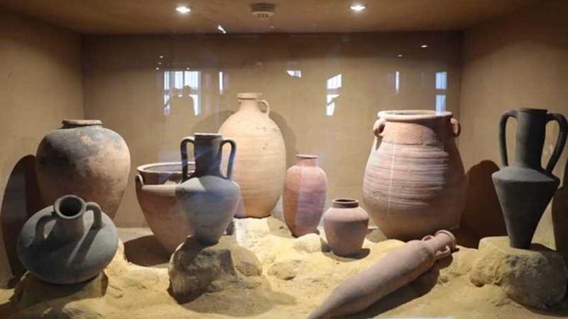 متحف طنطا بالمجان