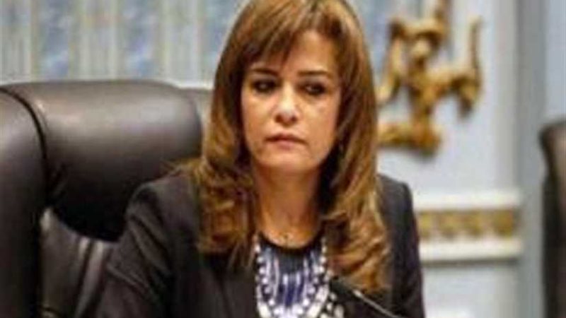 النائبة سحر طلعت