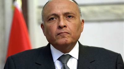 وزير الخارجية ونظيره الغيني يعقدان جلسة مباحثات ثنائية