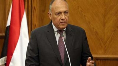 وزير الخارجية ونظيره الغينى يؤكدان عمق العلاقات المشتركة