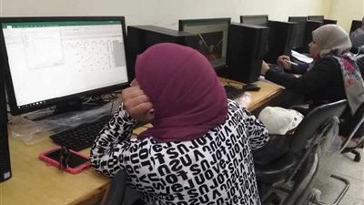 تكنولوجيا المعلومات بجامعة المنيا يُواصل تنظيم دوراته التدريبية في الإكسيل المحاسبي