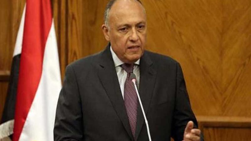 وزير الخارجية ونظيره