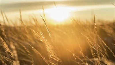 علماء: الشمس كانت طوال الصيف في 