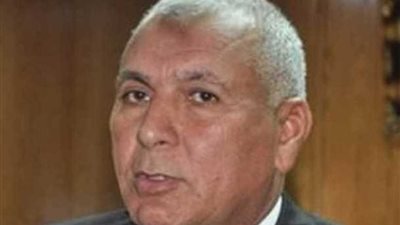 الانتهاء من تطوير 140 منزلا ضمن مشروع حياة كريمة بالوادى الجديد