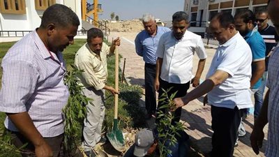 رئيس جامعة العريش يشارك في تشجير الحرم الجامعي