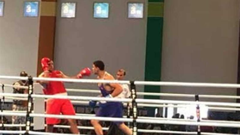 فراعنة الملاكمة يطيرون