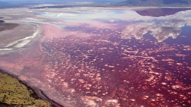 النطرون بحيرة الدم