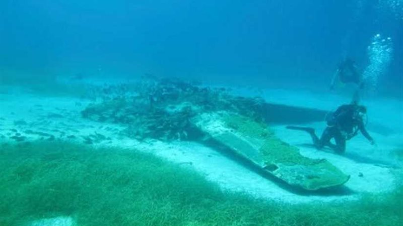 أعطني عمرا وألقِني