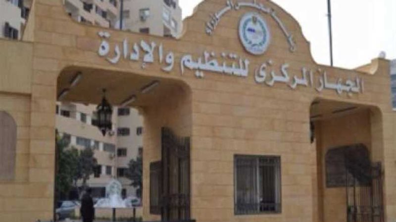 التنظيم والإدارة