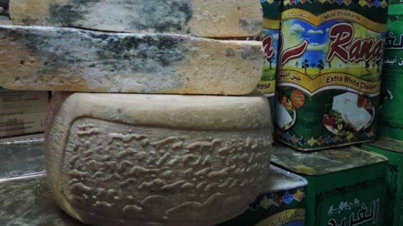 ضبط ٤ أطنان جبنة