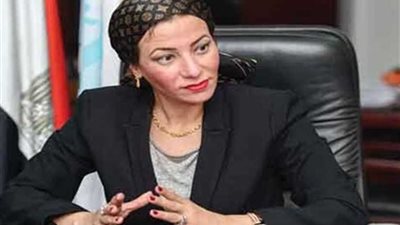 القاهرة تستضيف ورشة عمل إقليمية لتحديد تدخلات مبتكرة لمواجهة تغير المناخ