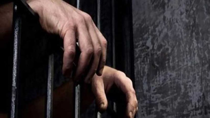 حبس جزار تسبب في