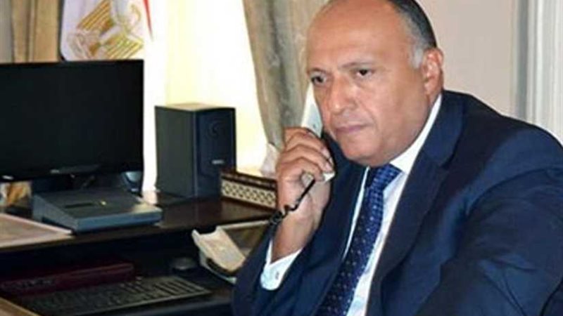 شكري يجري اتصالًا