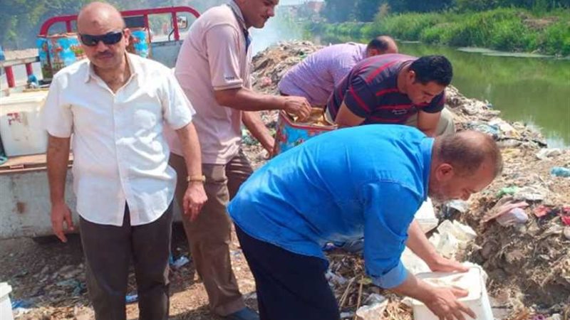 صحة الشرقية: إعدام