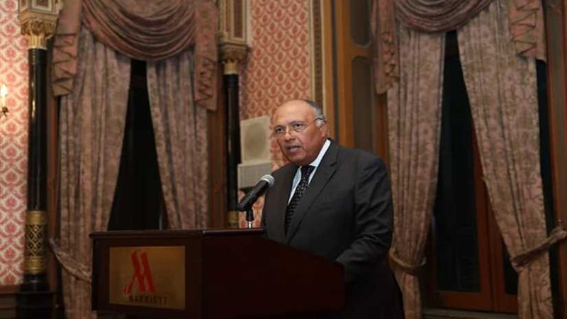 شكري يلقي كلمة خلال