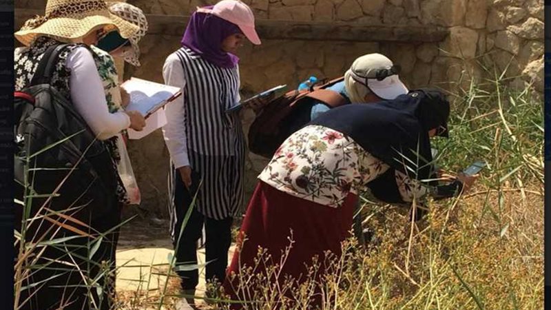 تدريب صيفي لطلاب