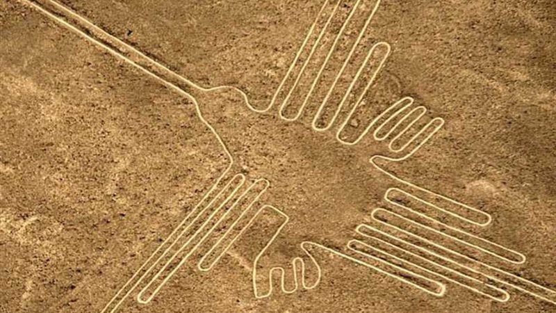 ‪ بالصور.. تعرف على