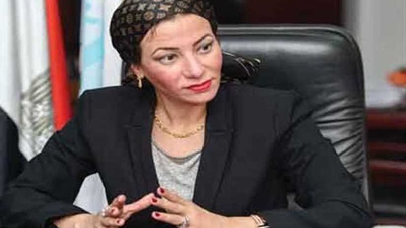 القاهرة تستضيف ورشة