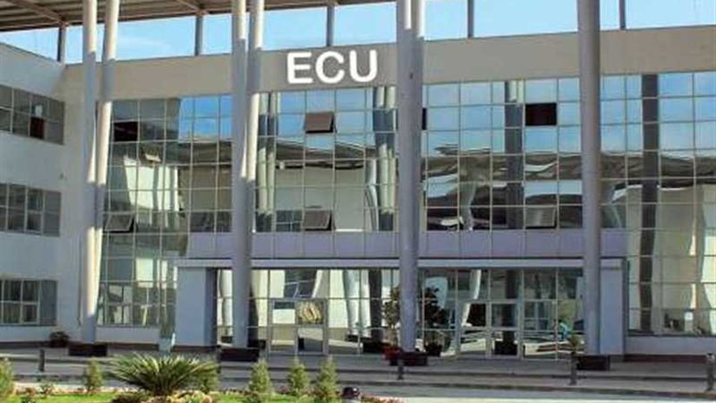 الجامعة المصرية الصينية