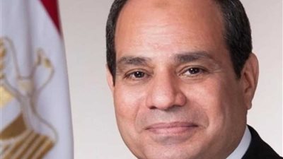 السيسي يستقبل وفد مركز الشئون الإسرائيلية واليهودية بكندا